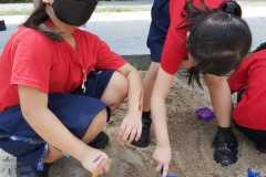IMG-20220808-WA0049