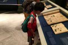 IMG-20220608-WA0242