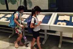 IMG-20220608-WA0247