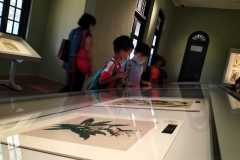 IMG-20220608-WA0256