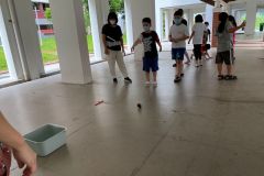 IMG-20220607-WA0023